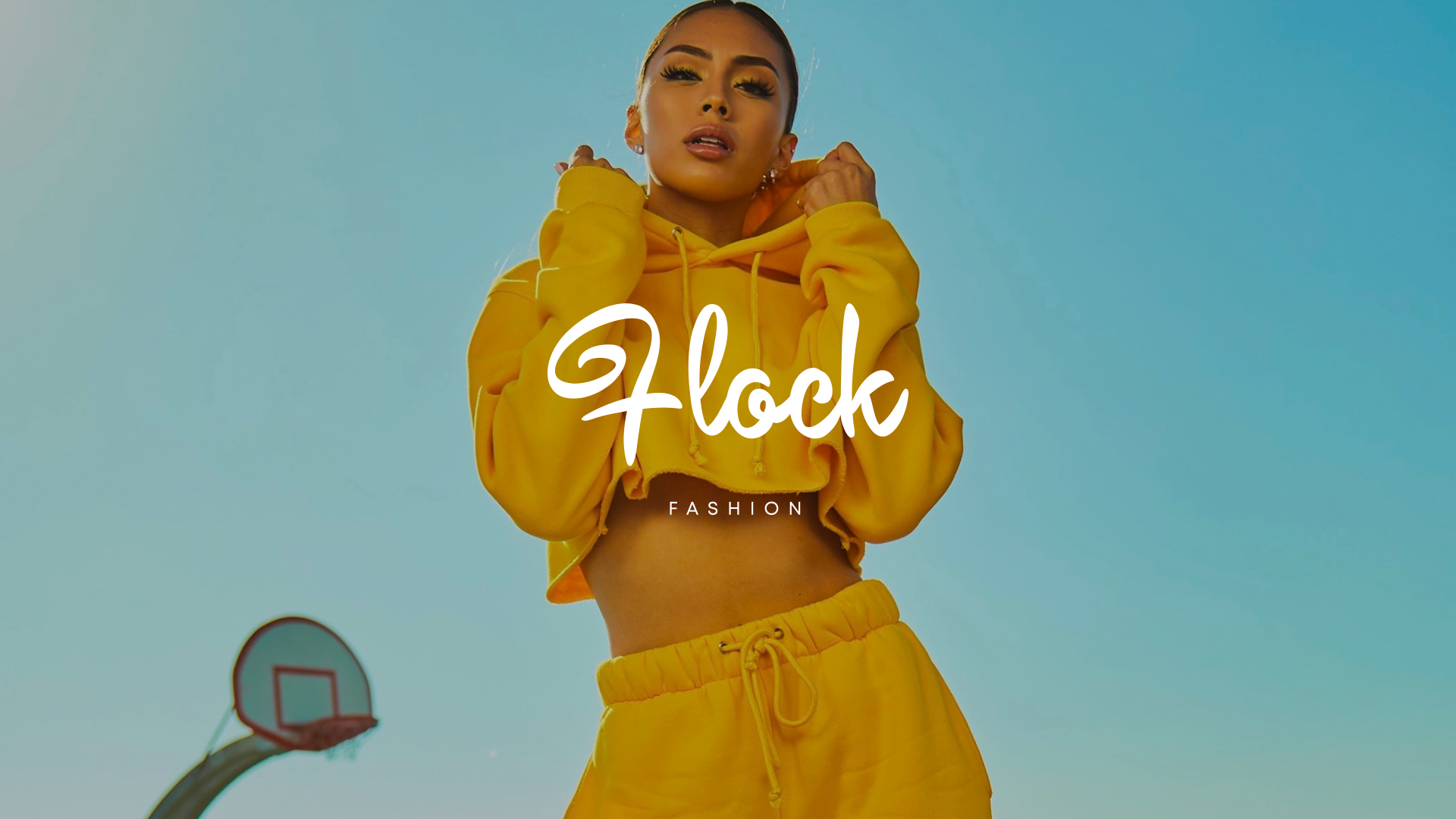 Flock Branding Disirius